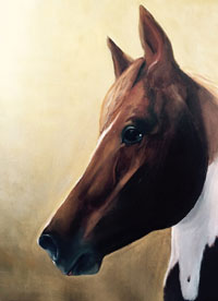 Horse